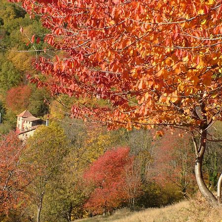 Casa Etxalde Konuk evi Camprodon Dış mekan fotoğraf
