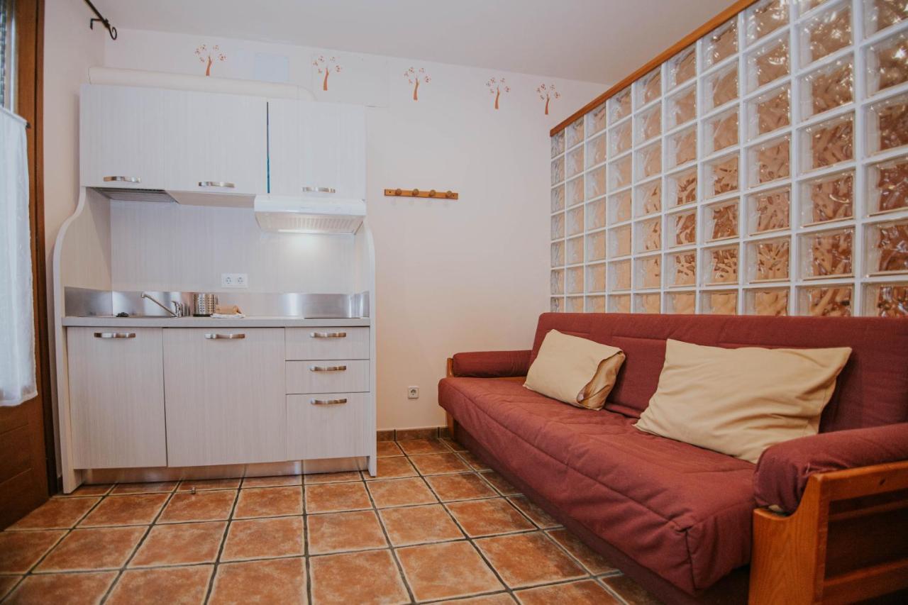 Casa Etxalde Konuk evi Camprodon Dış mekan fotoğraf