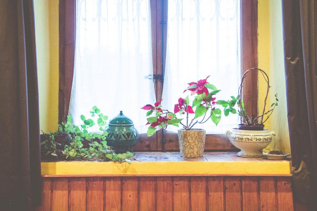 Casa Etxalde Konuk evi Camprodon Dış mekan fotoğraf