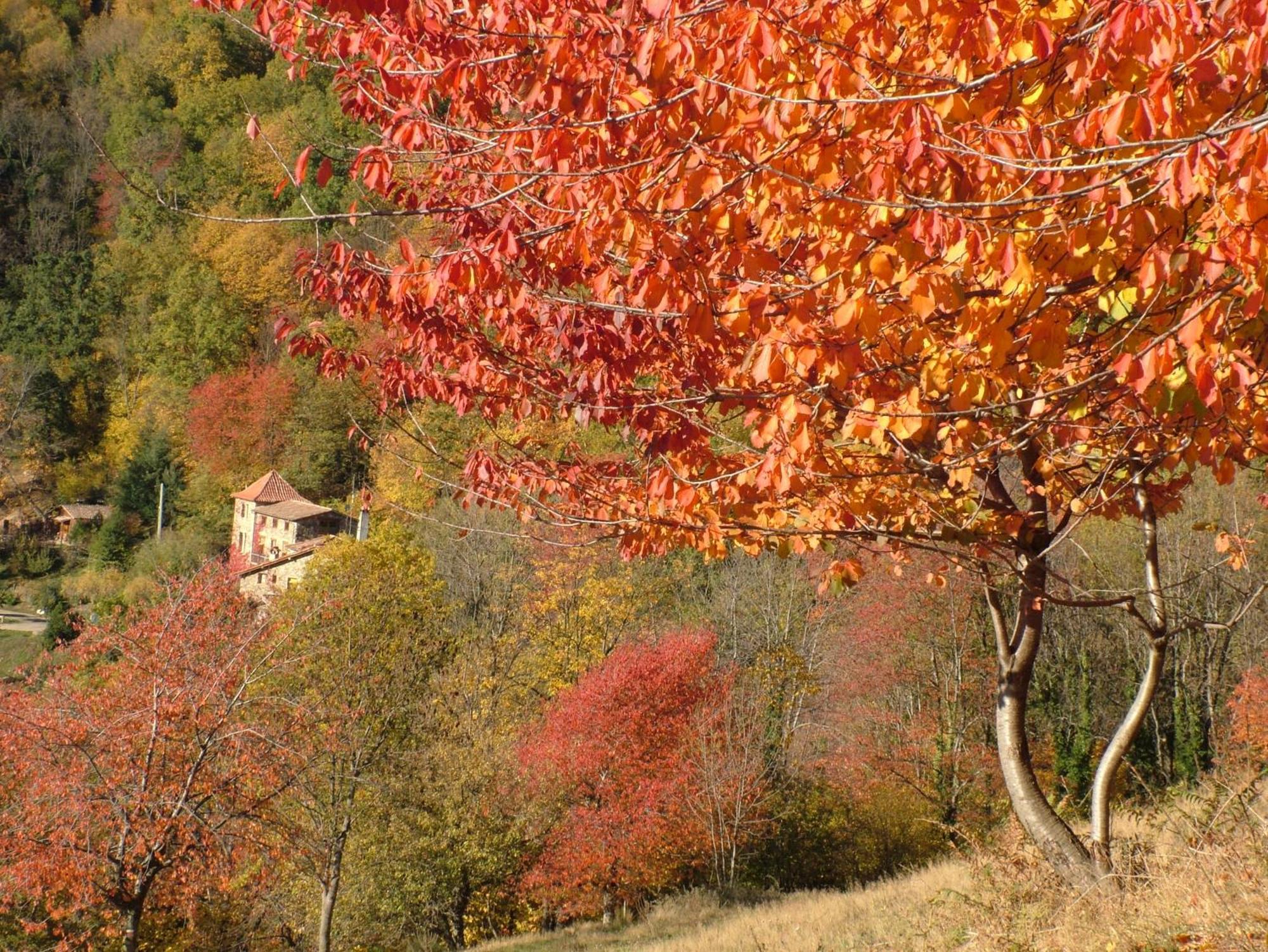 Casa Etxalde Konuk evi Camprodon Dış mekan fotoğraf