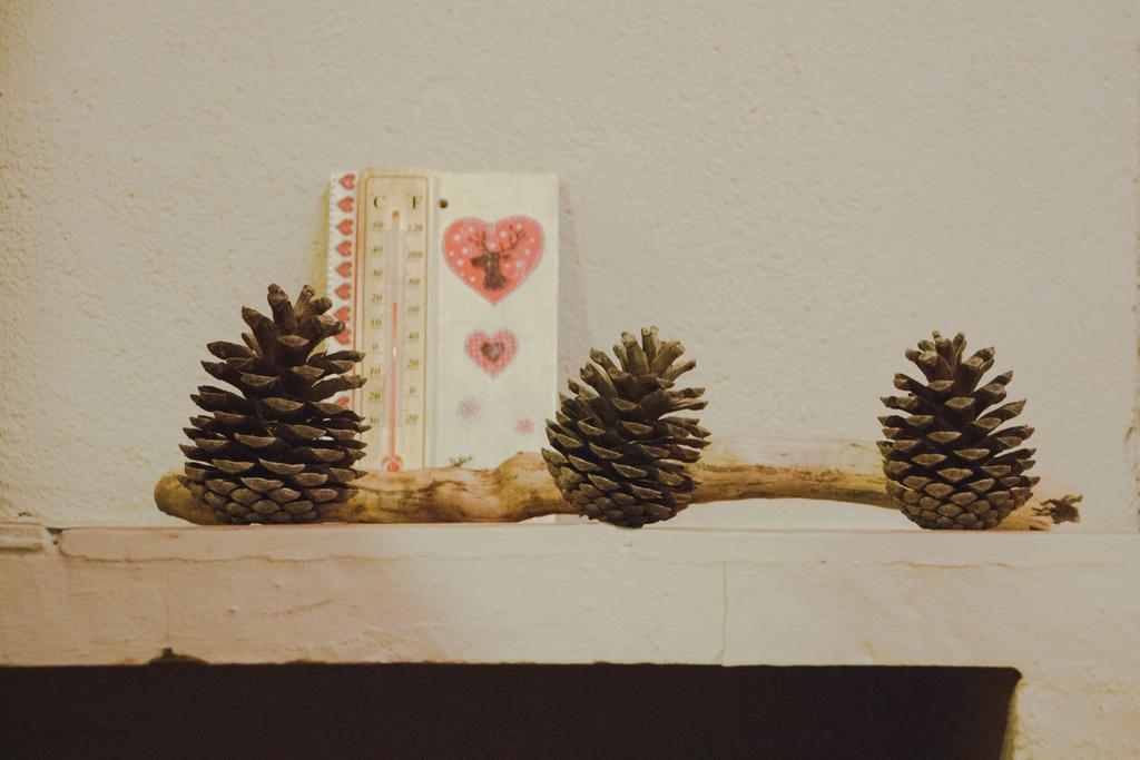Casa Etxalde Konuk evi Camprodon Dış mekan fotoğraf